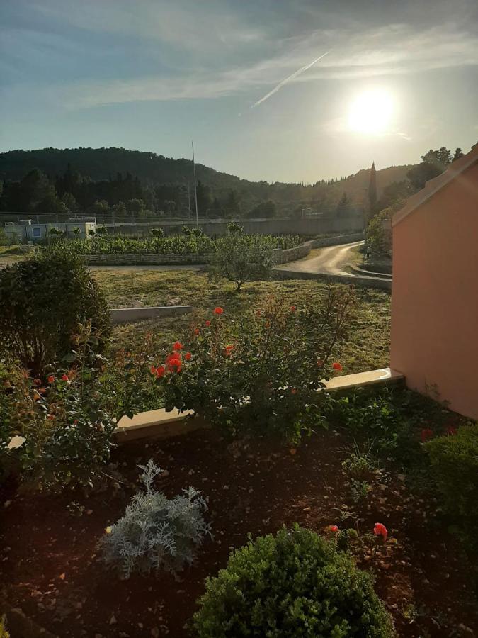 Apartment "Manna Zrnovo Esterno foto